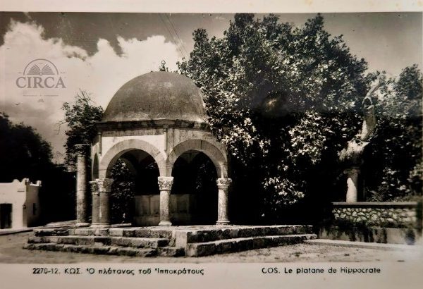 Σπάνια Vintage Καρτ Ποστάλ – Ο Πλάτανος του Ιπποκράτη, Κως (1950s)