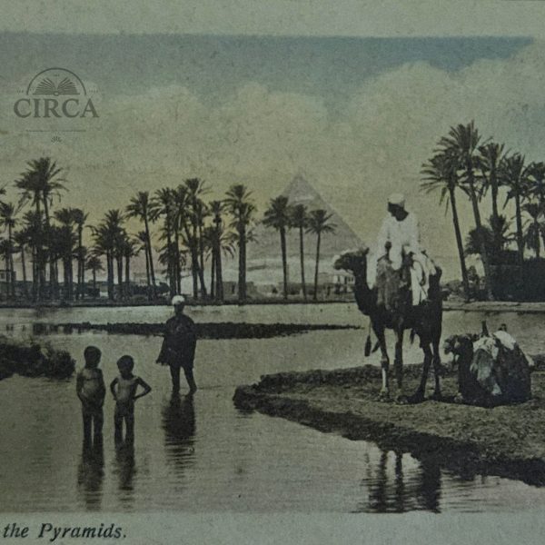 Vintage Postcard – Egypt Near the Pyramids (c. 1920)